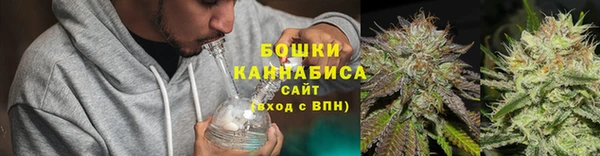 соль ск Верхний Тагил