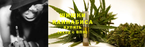 мдпв Верея