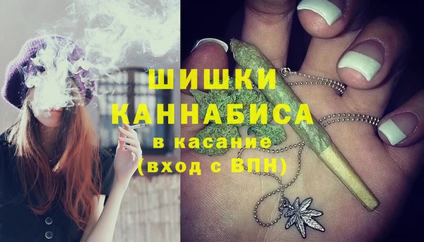 соль ск Верхний Тагил