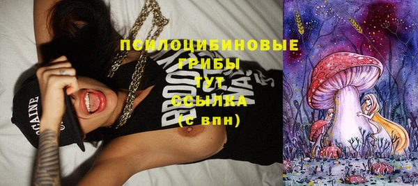 мдпв Верея