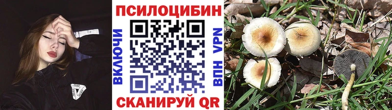 Галлюциногенные грибы ЛСД  Пятигорск 
